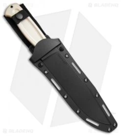 Cold Steel Drop Forged Survivalist Fixed Blade Knife (8" Bronze) 36MC 8 Cold Steel Drop Forged Survivalist Fixed Blade Knife (8" Bronze) 36MC -Cold Steel Cold Steel Drop Forged Survivalist bronze BHQ52029 er sheath